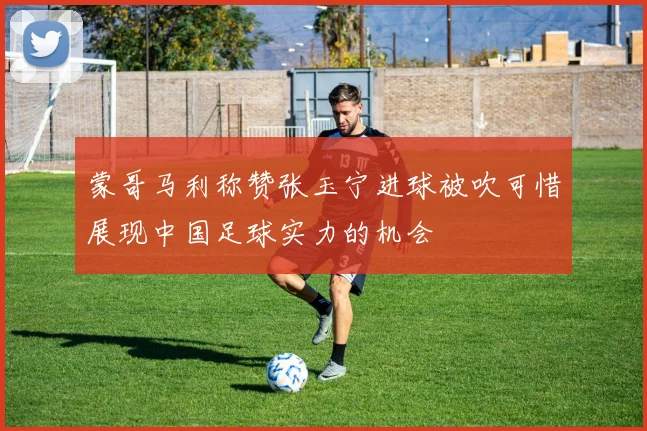 蒙哥马利称赞张玉宁进球被吹可惜展现中国足球实力的机会