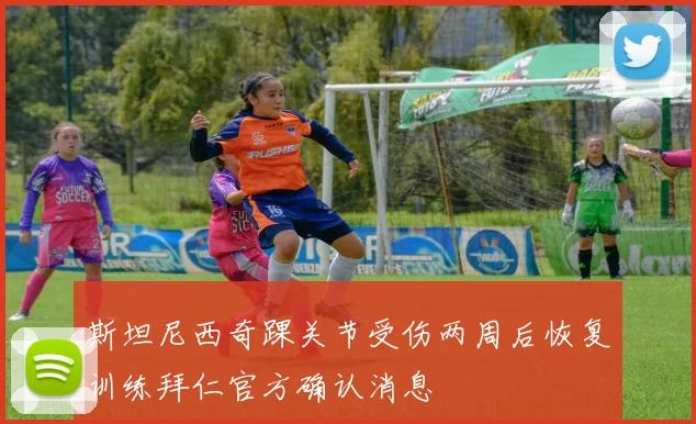 斯坦尼西奇踝关节受伤两周后恢复训练拜仁官方确认消息